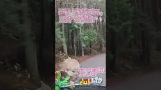 【ZX-25R】250cc4気筒サウンド！のどかな田舎道を駆け抜ける #Shorts #zx4r #zx25r
