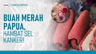 Segudang Manfaat Buah Merah Papua, Bantu Hambat Sel Kanker! | Hidup Sehat tvOne