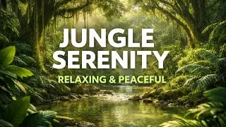 Jungle Serenity - 1 Hour of Calm and Relaxing Nature Ambience