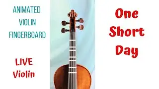 ONE SHORT DAY 🏙️ from Wicked | LIVE Violin [Cover/Tutorial] & Animated Violin FINGERBOARD