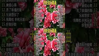 2025中国大陸流行歌曲 不能不听的50首精选歌 🍁🍁2025好听的流行 🎗️🎗️【可可托海的牧羊人 , 你的万水千山,红尘情歌 , 酒醉的蝴蝶 , 等你等了那么久 , 我的快樂就是想你陳雅森演唱】🌺