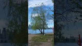 Trees, Beach, and Skyline View #7 | Ward&rsquo;s Island, Toronto Islands