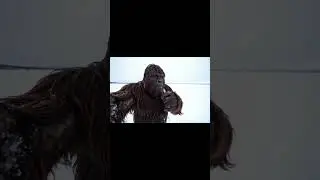 Looking for Yeti... #yeti #bigfoot #bigfootvlog #vlog #trend #viral