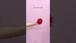 Maccaron Holi Offers are steal deals 🌸
