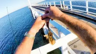 Рыбалка на втором по длине причале в мире &mdash; причале Басселтон для расслабляющих выходных.