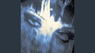 PNL (pain and lies)