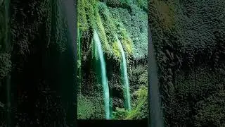 Please #subscribe to #nature