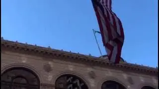UFO? Mylar balloons?