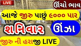 Jeera na bhav | 03-06-2023 | જીરું ના ભાવ:2023 | live cumin trading in  APMC | commodity Trend