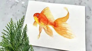 Goldfish, watercolor and colored pencils.  Drawing together, easy and fast