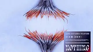 Jaycez, Sunflcwor & Yellwflwer - Nothing [Official Audio]