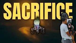 Суровая реальность разведения собак (это не для всех)