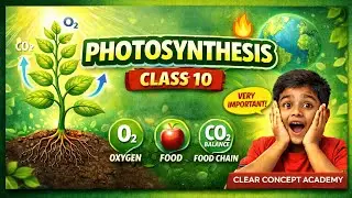Photosynthesis in easy way |Class 10 |biology 