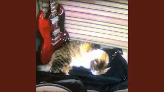 turu, turu, turu
