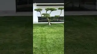 Rasaerba robot Wiper ike