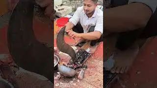 Sola Fish Cutting Skills #shortvideo #shorts