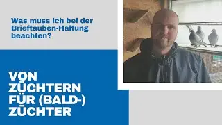 Von Z&uuml;chtern f&uuml;r (Bald-) Z&uuml;chten: Was muss ich bei der Brieftaubenhaltung beachten?