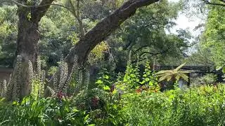 Stirling Cottage Gardens in Harvey WA | Just Annadel
