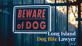 Long Island Dog Bite Lawyer
