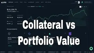 The Key Difference: Collateral Value vs Portfolio Value in Options