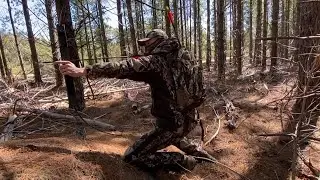 SAS Ranger Survival Bow with Arrows