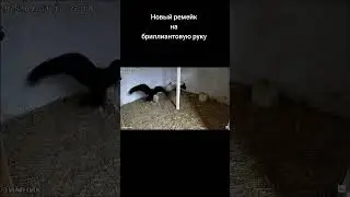 Новый ремейк 