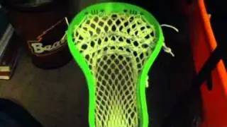 Maverik spider