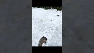 Solang Valley/Fun in Ice/ Weather in Manali/Ice Game/Fun Activities in Ice/Ice Activities in Winter