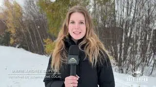Bulletin de nouvelles S05-EP15 - Semaine du 26 janvier 2026