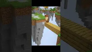 Minecraft Types of Players in Skywars Moment