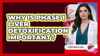Why Is Phase 1 Liver Detoxification Important? - Liver Health Hub