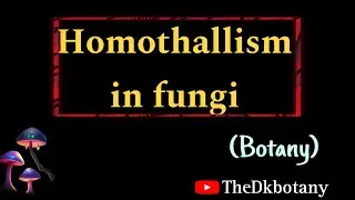 Homothallism in fungi | what is heterothallism |heterothallism | M.sc botany | fungi |