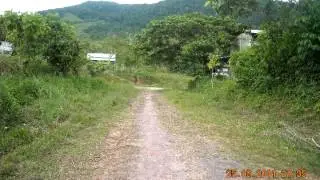 ANDY STAR DE VILLA RICA