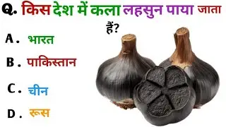 Amazing GK Facts | दिमाग हिला देने वाले तथ्य |🧠 💥 Super Brain GK Quiz | ULTRA GYAN GK 