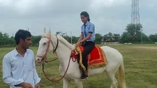 Horse riding trening at Veer Teja Academy khood #horselover #discovery #viralvideo #animals #horse