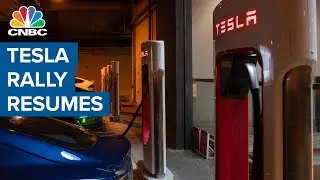 Tesla's stock is a 'cult-like situation': Elevation Partners co-founder