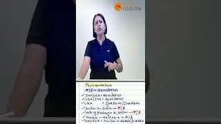 Decode Forex Quotes: Essential Tips for CA Final SFM Nov 23 Exams
