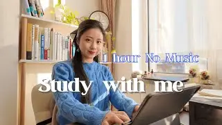 Study With Me – 1 Hour 📚 No music ⛄️