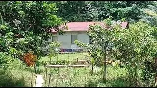 Ampeak Kulampei
