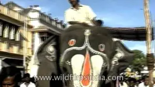 Decorative elephant, chariots and palanquins of Lord Jagannath: Rath Yatra in Chennai