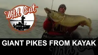 Giant pike (pikes) from kayak