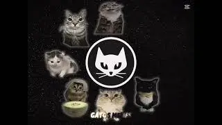 Los gatos memes &Eacute;picos Sigmas