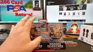 In One Piece what is the difference between an SP (Secret Rare) and a TR (Treasure Rare)?
