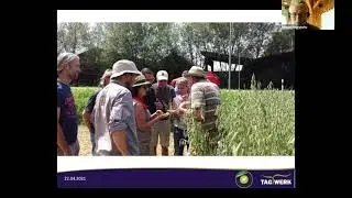 MISCHKULTUR LEINDOTTER-HAFER - mit Dr. Michael Rittershofer