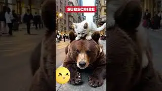 My Best Friends PLEASE SUBSCRIBE 🙏 🐻❤️🐱 #cat #cute #kitten #bear #bears #shorts
