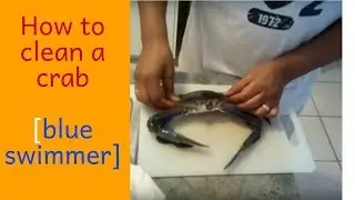 How to clean a  crab video Featuring Australian Blue swimmer crabs