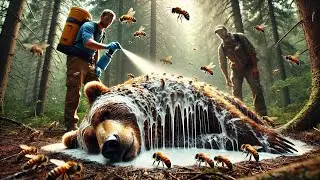 Rescuing a Mysterious Bear Covered in Swarming Insects
