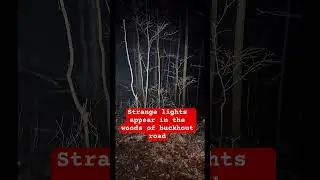 Very strange lights appear in the woods of buckhout road #horror #ghost #paranormal #haunted