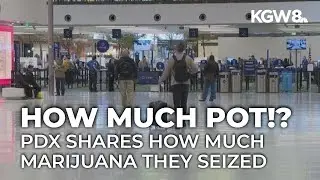 How much marijuana was confiscated at PDX last year?