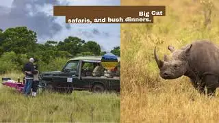 Masai Mara Safari Itinerary Ideas for Families or Couples